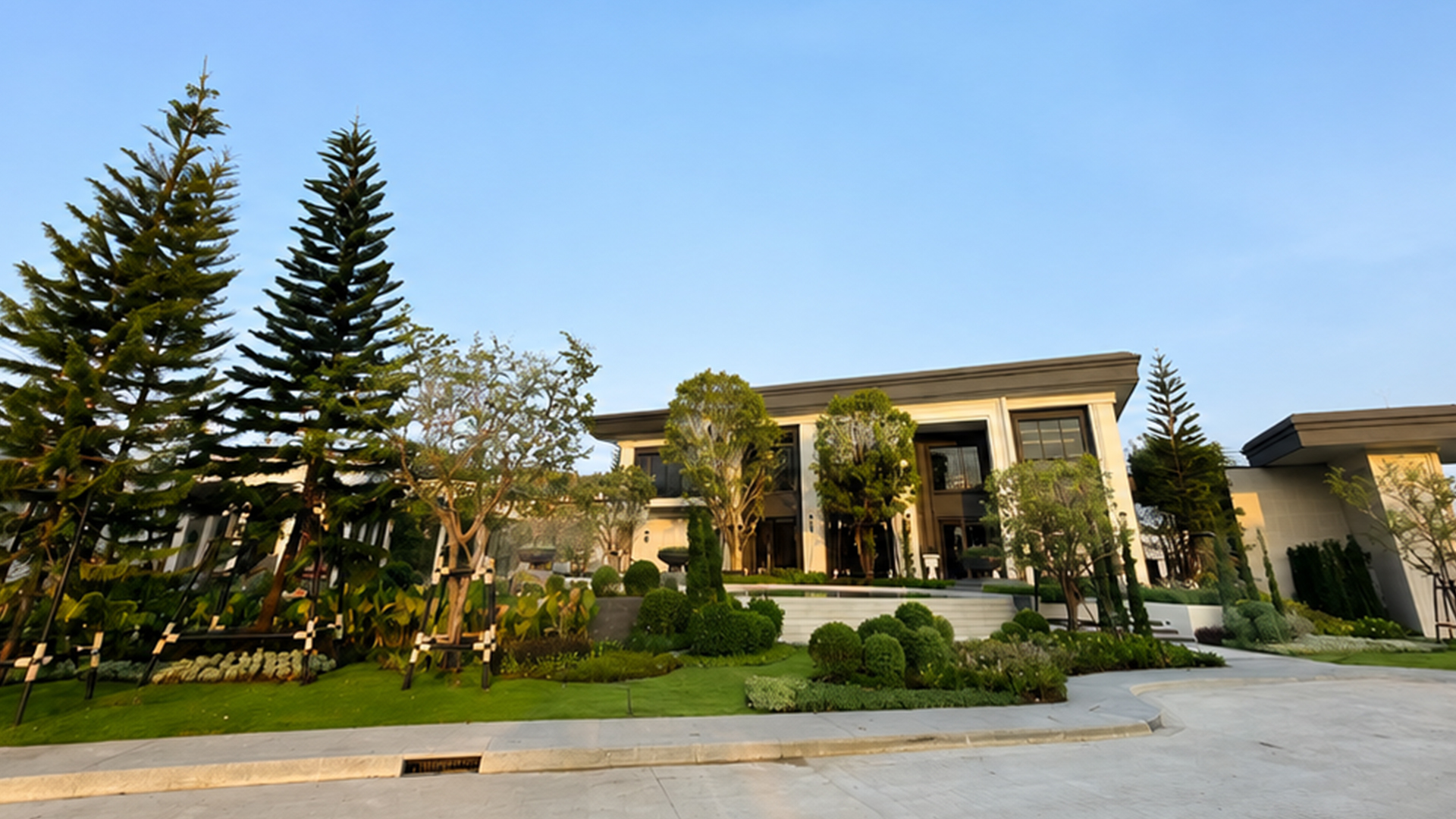 Image link